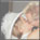 life_wedding2_image1