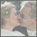 life_wedding2_image6