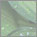 object_nature_image6