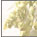object_stills_image2
